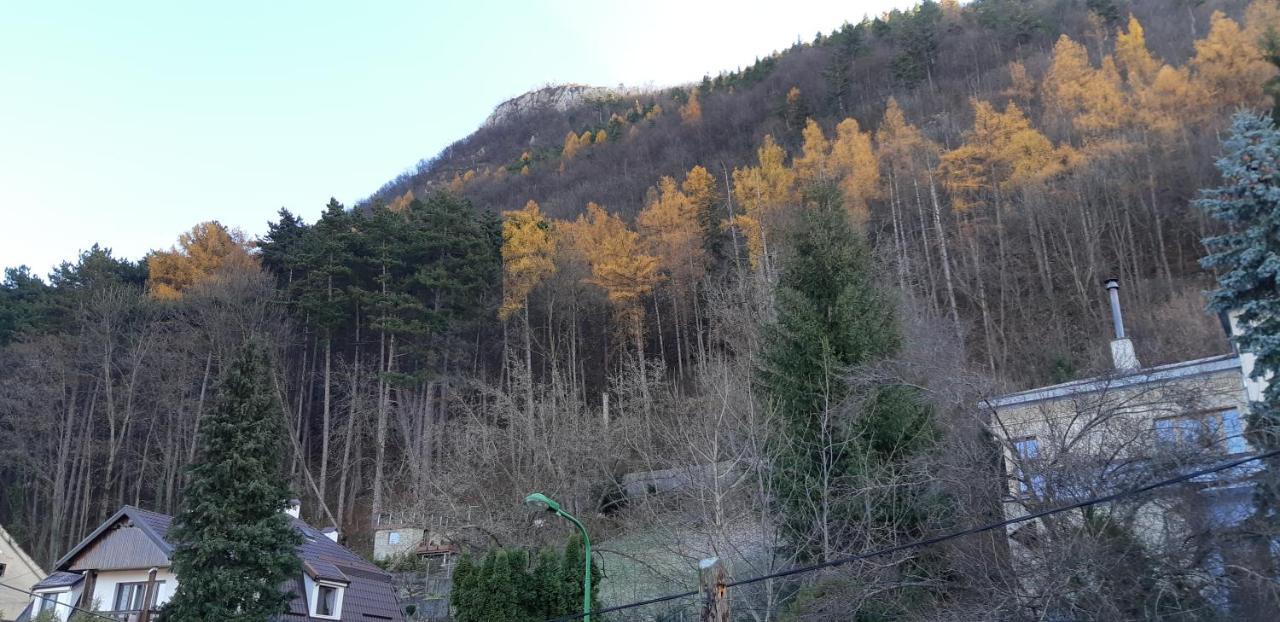 Brasov Valley Apartment Екстериор снимка