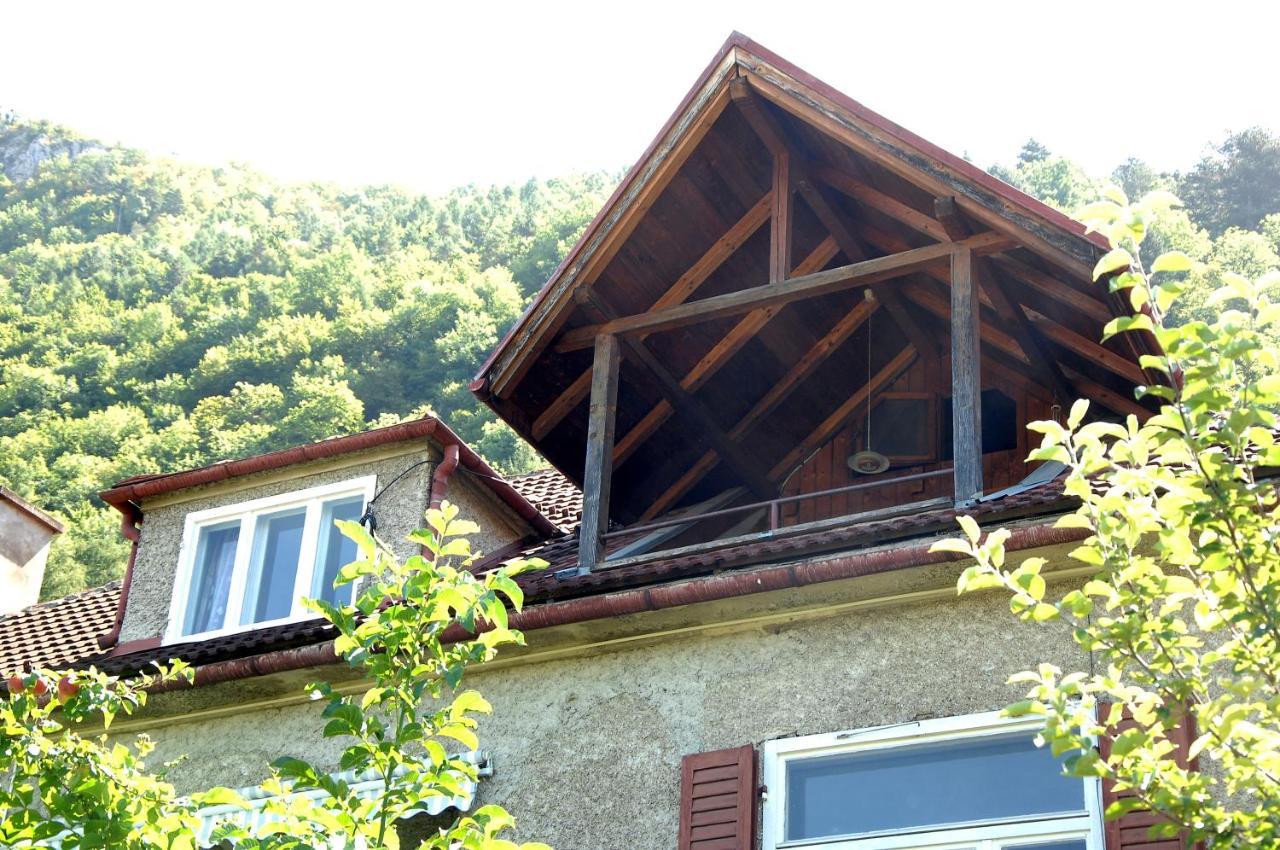 Brasov Valley Apartment Екстериор снимка